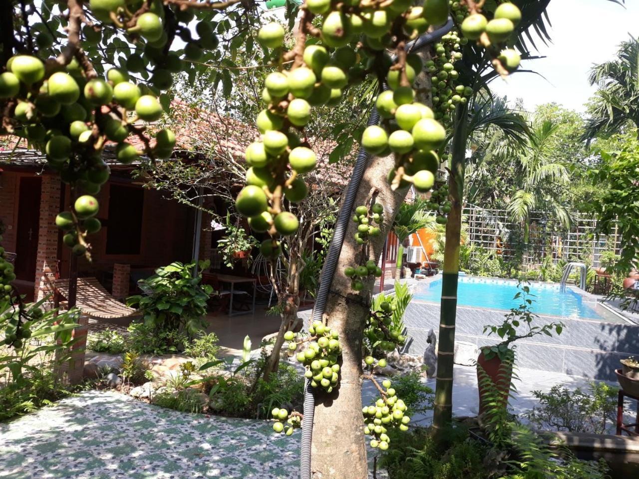 An Phu Homestay Ninh Binh Exterior foto